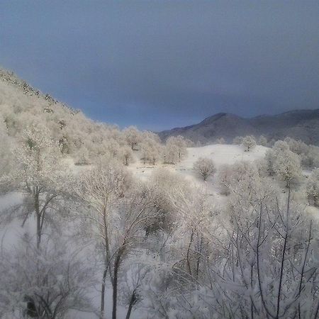 Mas Regort Hotel Vallfogona De Riucorb Buitenkant foto